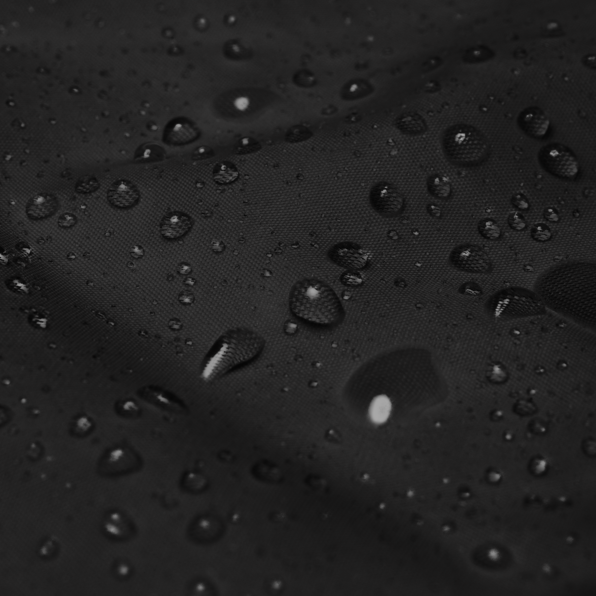 FnD Studio Windbreaker